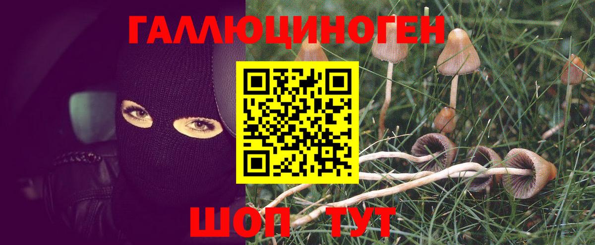 Ялта  Галлюциногенные грибы Psilocybe  Вход с VPN 