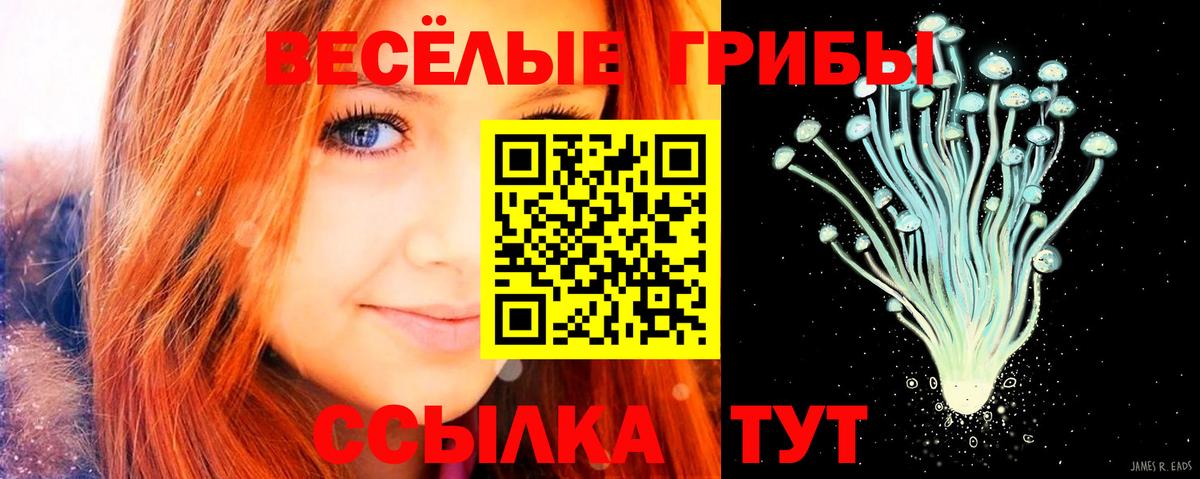 Псилоцибиновые грибы Psilocybine cubensis Ялта